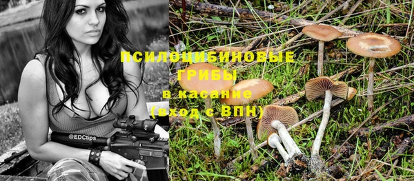прущая мука Краснослободск