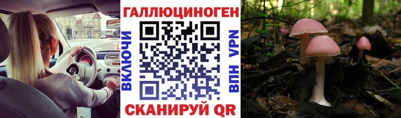Псилоцибиновые грибы Psilocybine cubensis Купить Углич