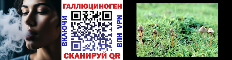 Псилоцибиновые грибы GOLDEN TEACHER Углич